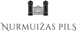 nurmuiza logo design web design